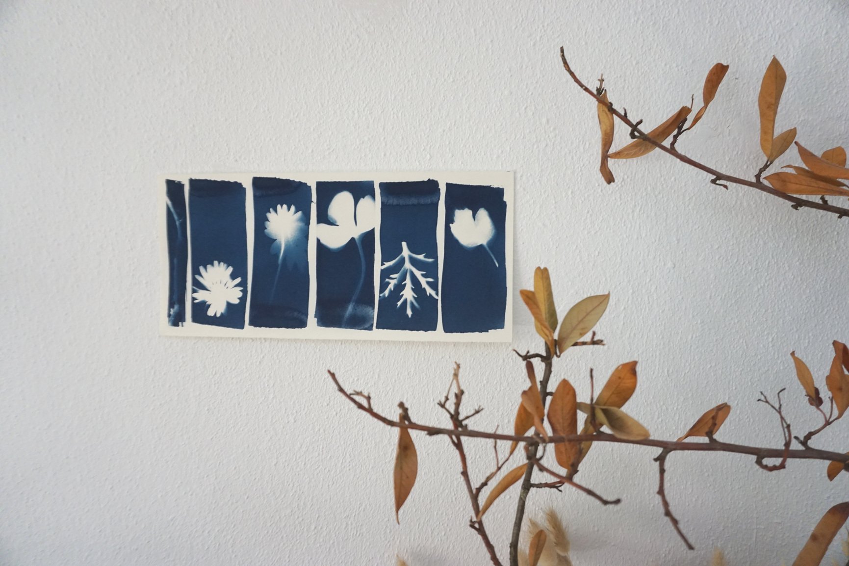 Plant Silhouette Cyanotype