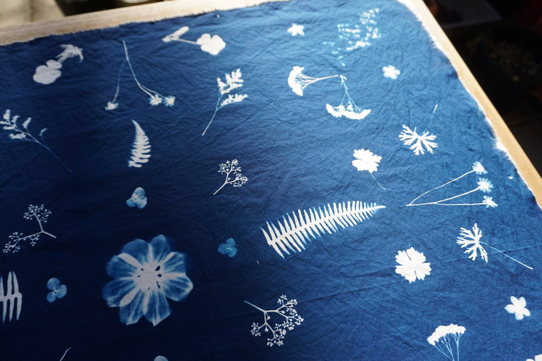Print nature on fabric at home