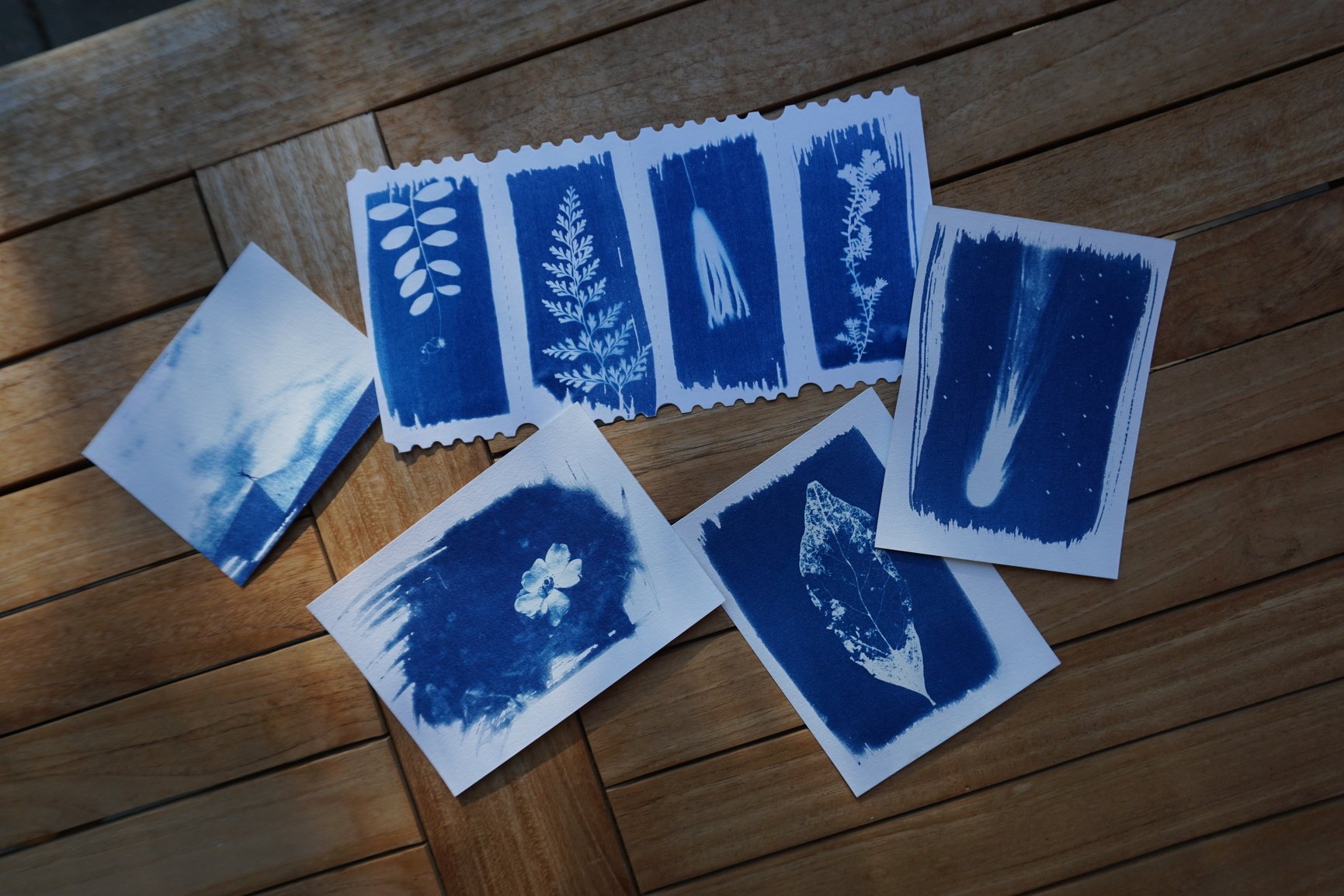 Simple and fun cyanotype prints